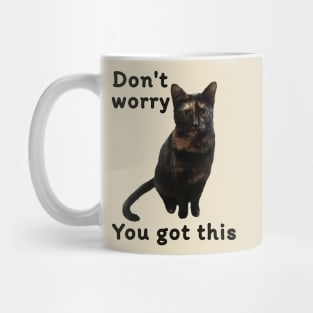 Don’t Worry You Got This (kitty) Mug